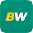 BetWinner — logo d’identification